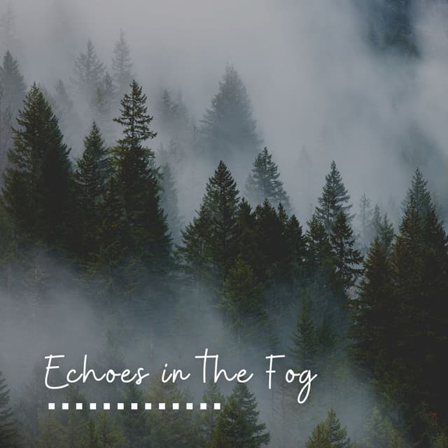 Echoes in the Fog - Meditation Guru