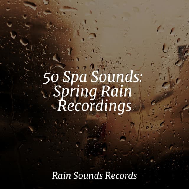 50 Spa Sounds: Spring Rain Recordings - Music For Absolute Sleep