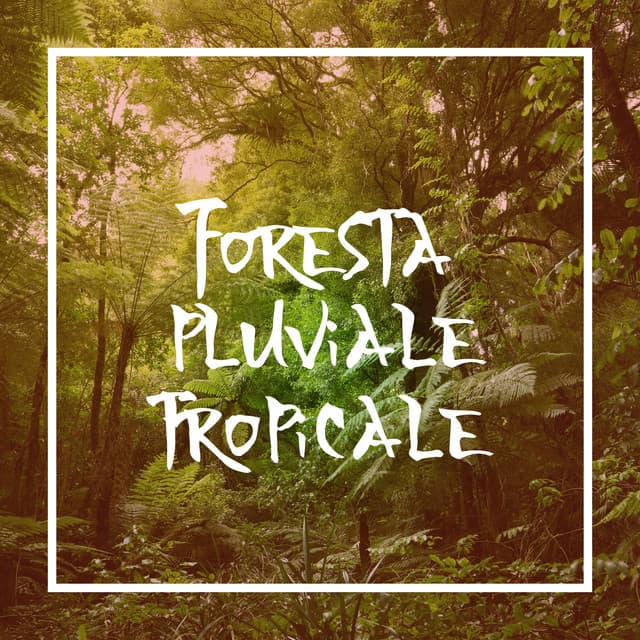 Foresta pluviale tropicale - Sueño Meditación