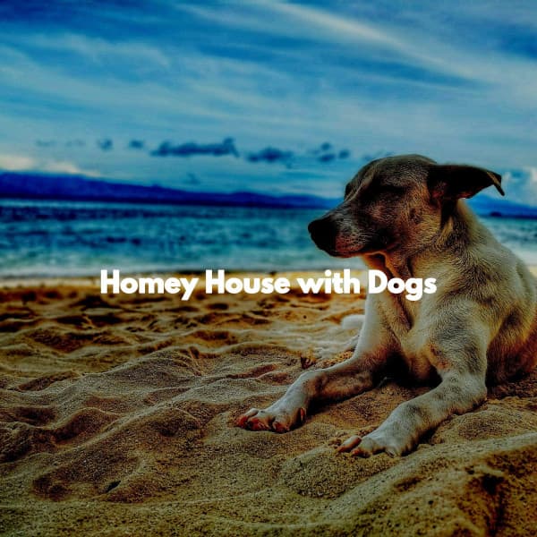 Homey House with Dogs - Feel Good Dinner Table Music
