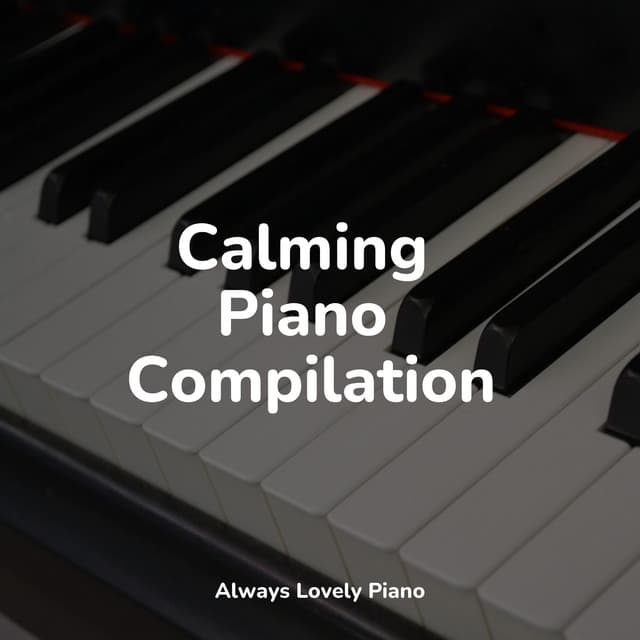 Essential Melodies | Calming Work and Study - Chillout Piano Lounge