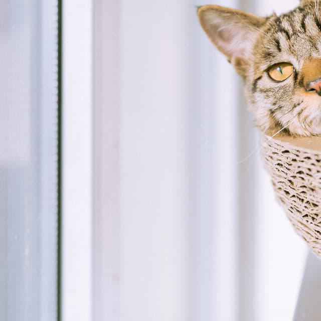 50 White Noise Sounds: Relax Harmony - White Noise for Babies