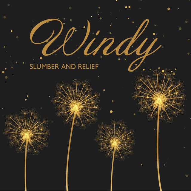 Windy Slumber and Relief - Deep Sleep Music Maestro