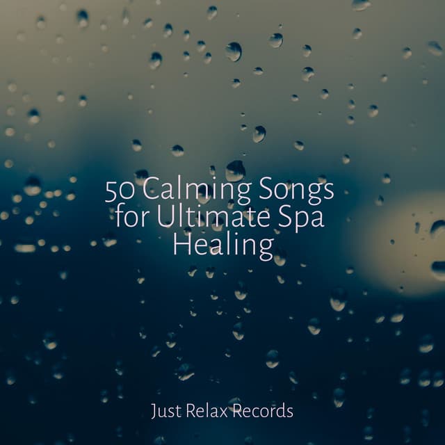 50 Calming Songs for Ultimate Spa Healing - Meditación Guiada