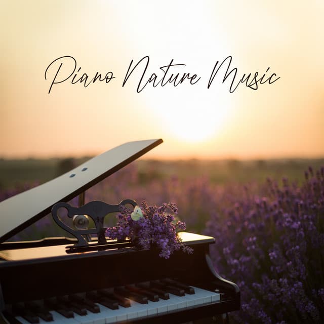 Piano Nature Music - Calming Water Consort