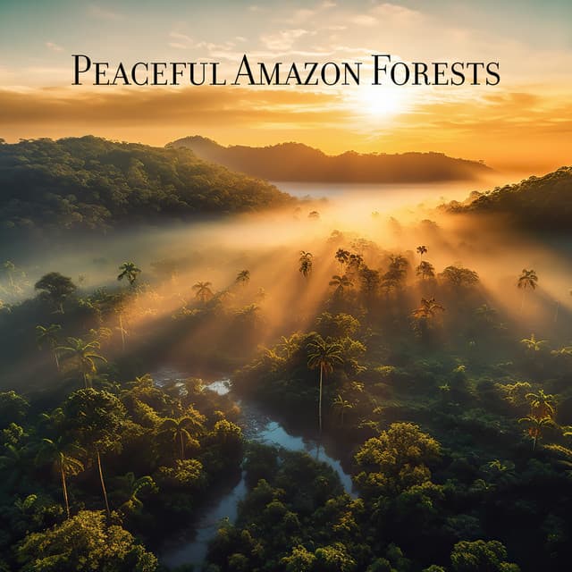 Peaceful Amazon Forests: Hang & Kalimba, Quiet Jungle, Exotic Birdsong - Natural Sounds Music Academy