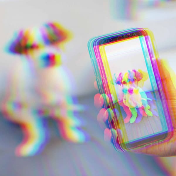 Music for Alert Doggy - Breathtaking Bossa Guitar Trio - Music for Pets Playlist