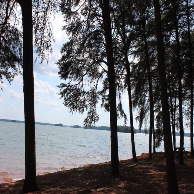 Background Cancelling Ambiences for Study, Meditation, and Relaxation - Studying Music