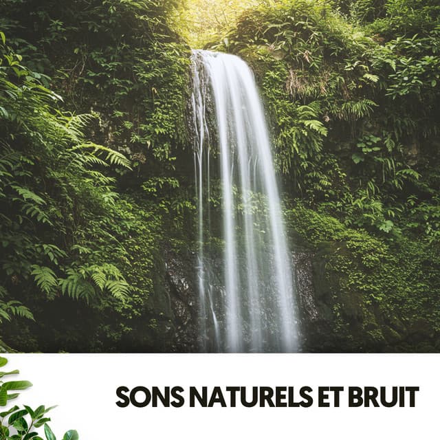 Sons Naturels et Bruit: Mélodies de l'Eau - Ruido Blanco Hart