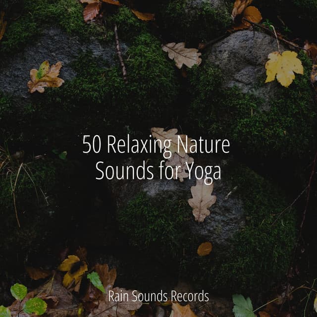 50 Relaxing Nature Sounds for Yoga - Forest Sounds