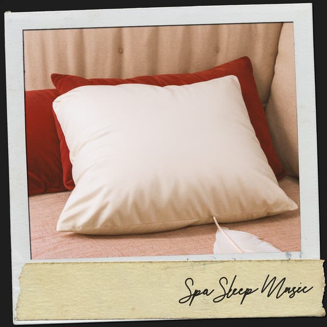 Spa Sleep Music: Moonlit Slumber Serenade - Música Relajante Para Leer