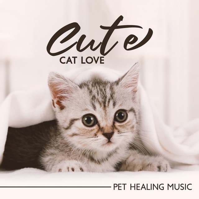 Cute Cat Love - Calm Pets Music Academy