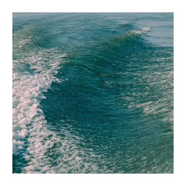 Fight With Your Demons - ADHD Focus