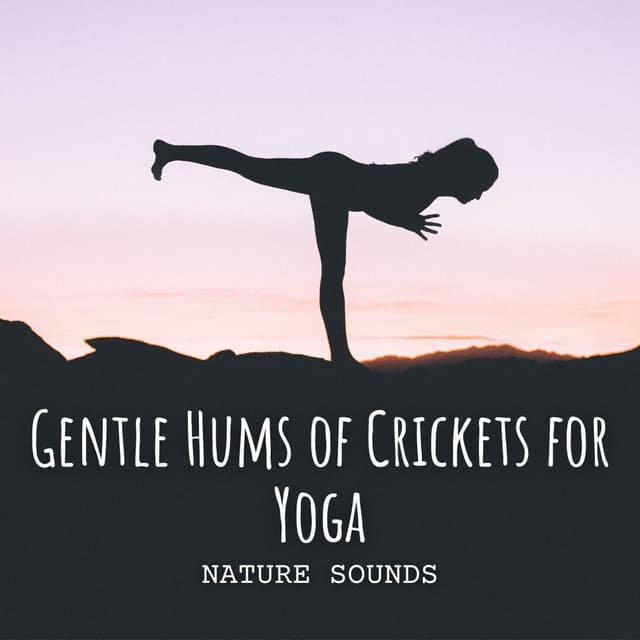Nature Sounds: Gentle Hums of Crickets for Yoga - Nature Music Nature Songs