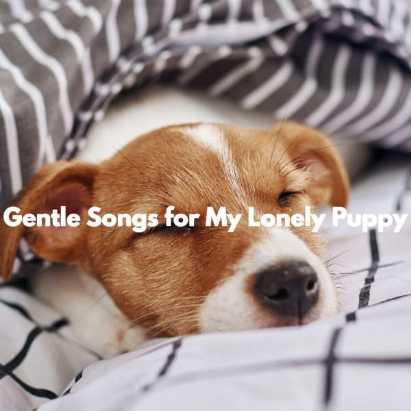 Gentle Songs for My Lonely Puppy - Musik zum Lesen