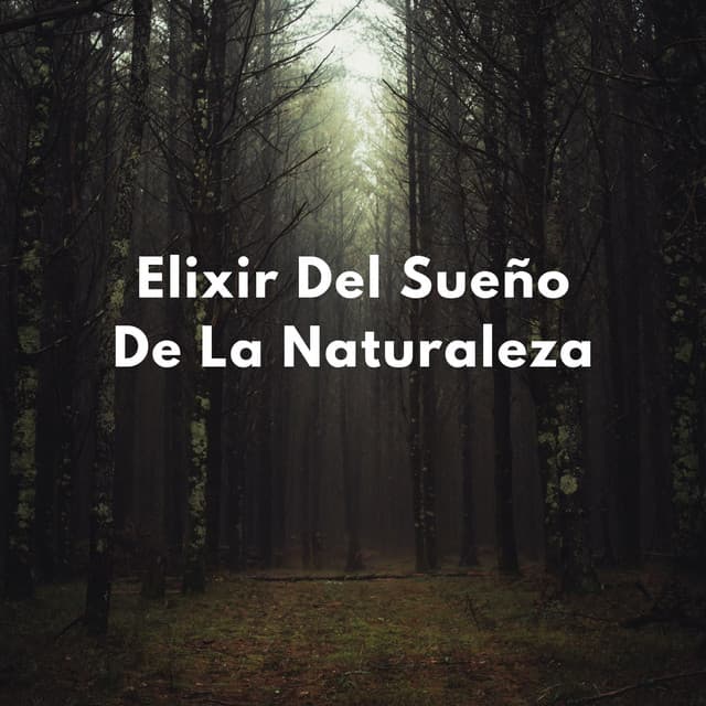 Sueños En La Naturaleza En Calma: Elixir Del Sueño De La Naturaleza - Televisión de la naturaleza