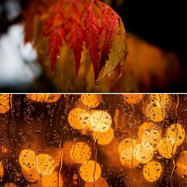 Music for Chill Tuesday - Tranquilo Café Música