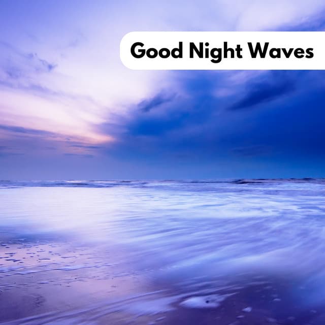 Good Night Waves - Selective Sounds TTA