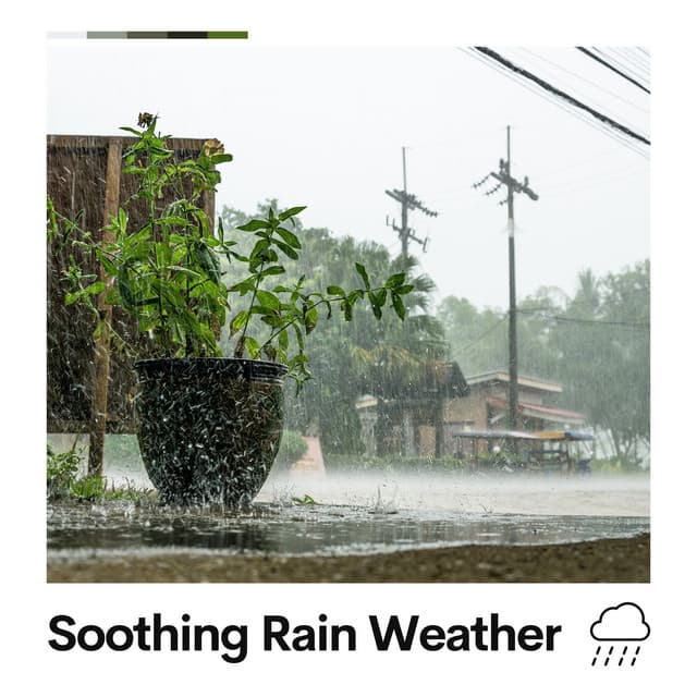 Soothing Rain Weather - Always Raining
