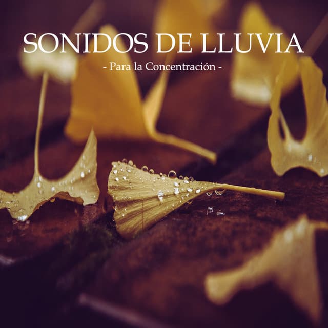 Sonidos de Lluvia para la Concentración - Musica para Estudiar Specialistas