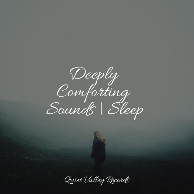 Deeply Comforting Sounds | Sleep - Sounds Of Rain & Thunder Storms