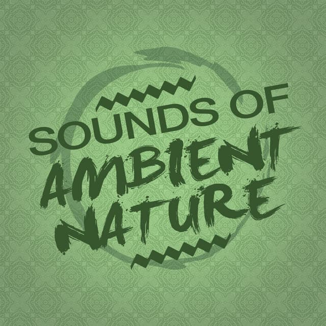 Sounds of Ambient Nature - Ambient Nature Sounds