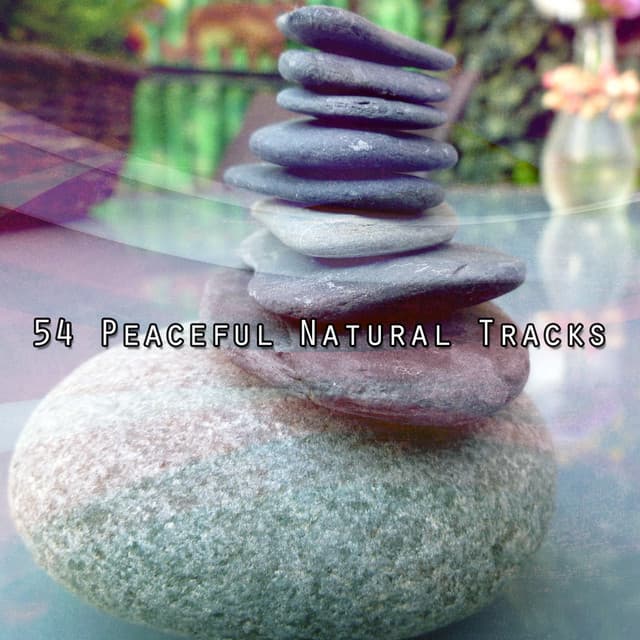 54 Peaceful Natural Tracks - Spiritual Fitness Music