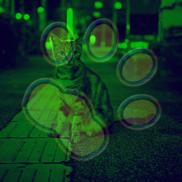 Echoes of Cat Lounging - Relaxing Music for Cats