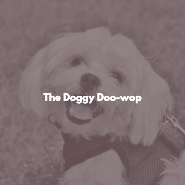The Doggy Doo-wop - Jazz For Sleeping