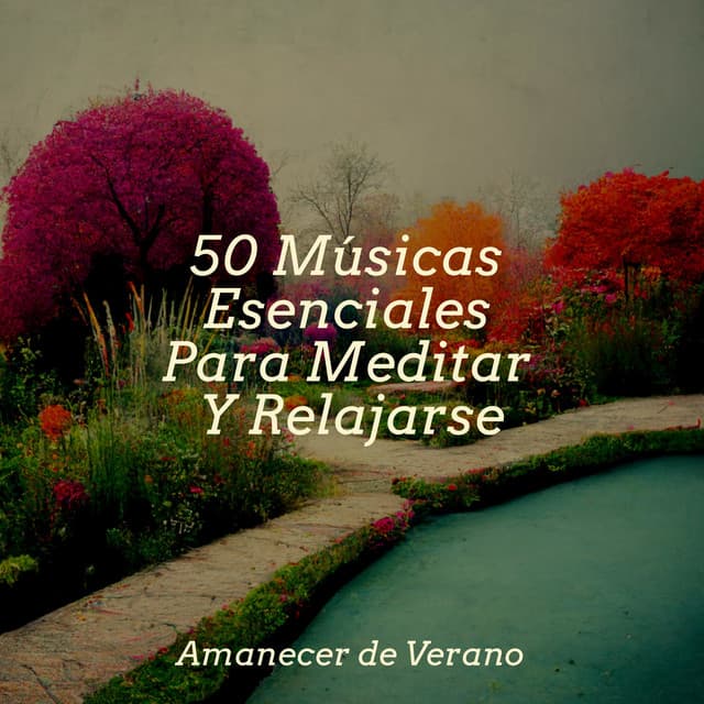 50 Músicas Esenciales Para Meditar Y Relajarse - Bedtime Baby