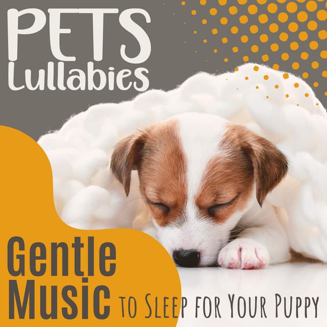 Pets Lullabies - Gentle Music to Sleep for Your Puppy - Animal Melody Wizard
