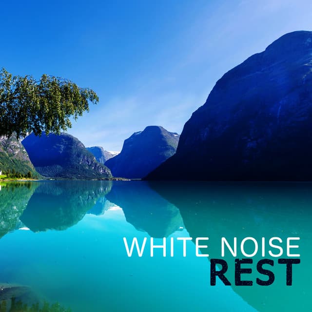White Noises Rest - White Noises