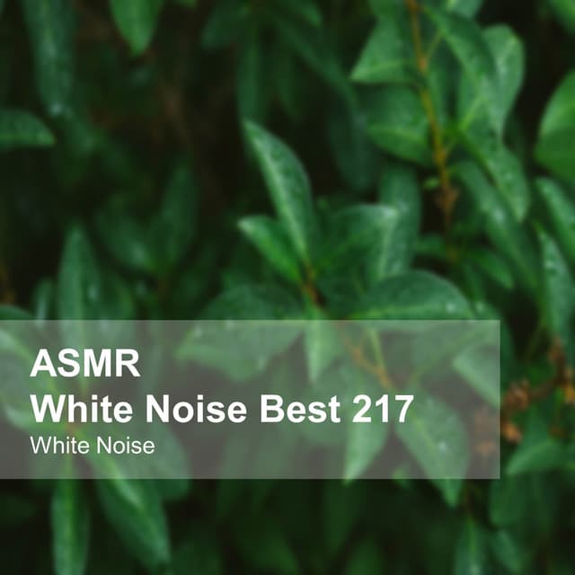 White Noise ASMR Best 217 - White Noise
