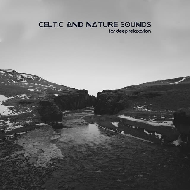 Celtic and Nature Sounds for Deep Relaxation – Music for Relieve Stress, Deep Silence of Mind - Relieving Stress Music Collection