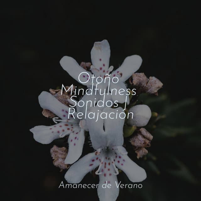 Otoño Mindfulness Sonidos | Relajación - Musica Relajante & Yoga