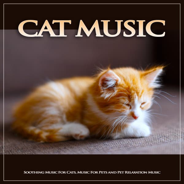 Cat Music: Soothing Music For Cats, Music For Pets and Pet Relaxation Music - Cat Music