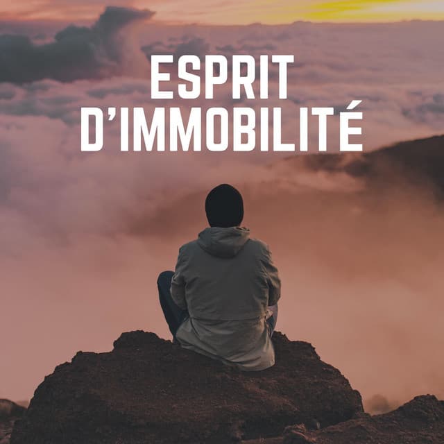 Esprit D'immobilité - Zone de la Musique Relaxante