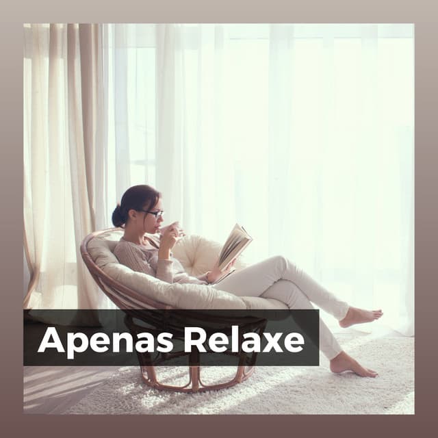 Apenas Relaxe - Zona Música Relaxante