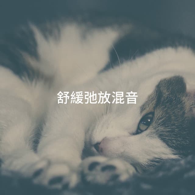 舒緩弛放混音 - Cafe Chillout de Ibiza