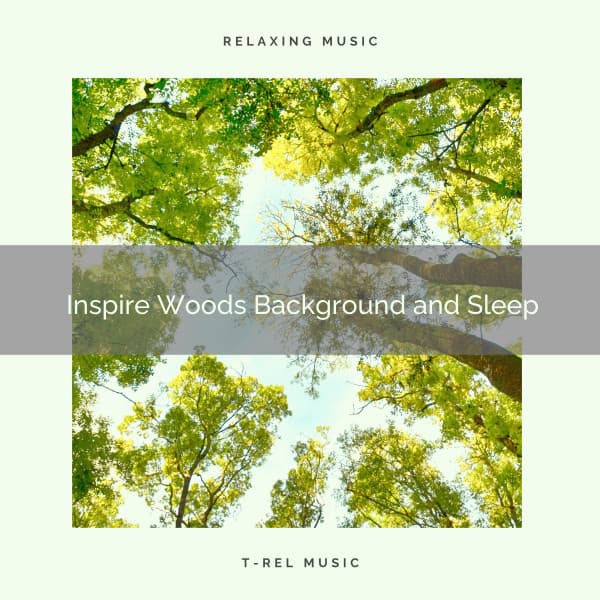 2020 Best: Inspire Woods Background and Sleep - Natural Woodland Sounds