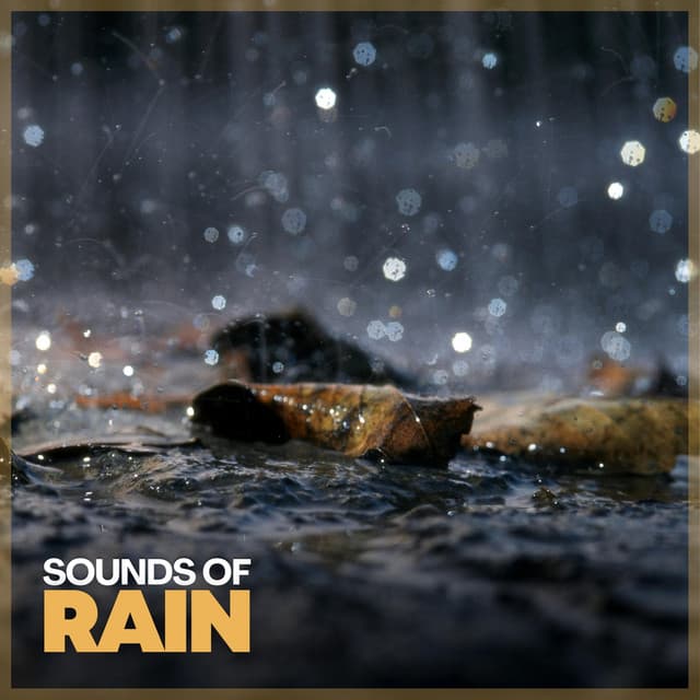Sounds of Rain - Rainforest Sounds
