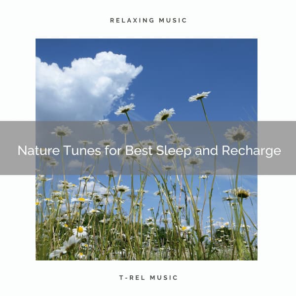 Nature Tunes for Best Sleep and Recharge - Foresty Ambient Noises