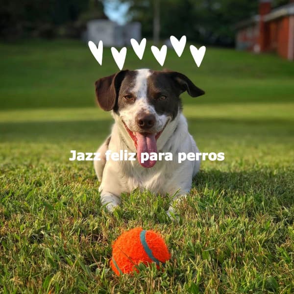 Jazz feliz para perros - Romantic Dinner Table Music