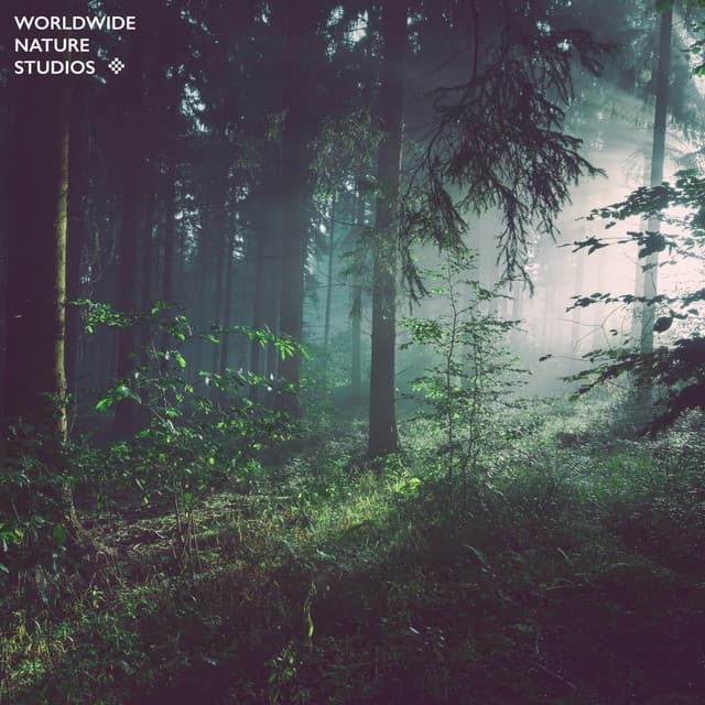 Paradise Island Birds - Worldwide Nature Studios