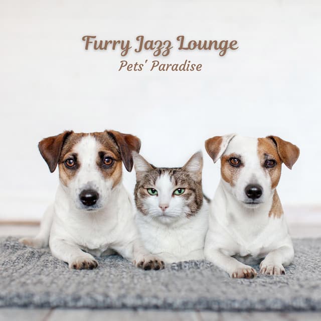 Furry Jazz Lounge: Pets' Paradise - Bossa Nova Jazz