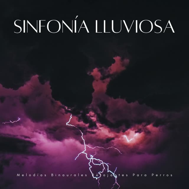 Sinfonía Lluviosa: Melodías Binaurales Relajantes Para Perros - Sistemas Binaurales