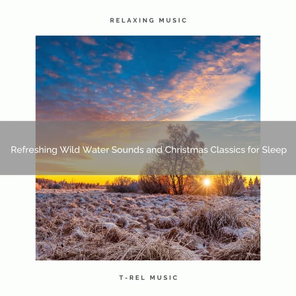 Refreshing Wild Water Sounds and Christmas Classics for Sleep - Sound Sleeping