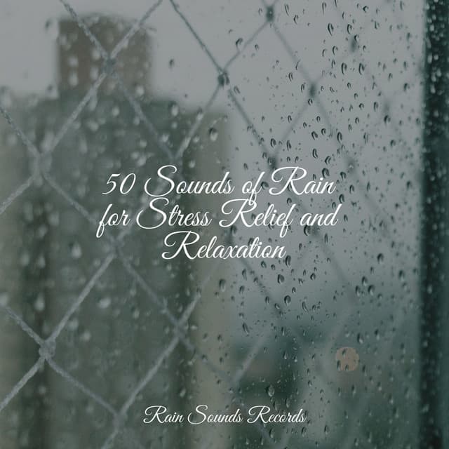 50 Sounds of Rain for Stress Relief and Relaxation - Sounds of Nature Relaxation