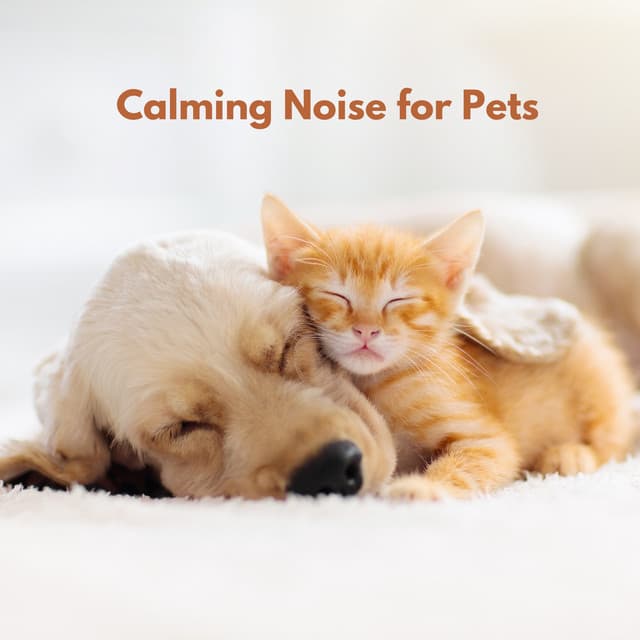 Calming Noise for Pets - The Dog Relaxer