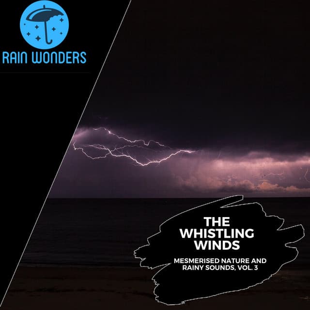 The Whistling Winds - Mesmerised Nature and Rainy Sounds, Vol. 3 - Rain Sounds